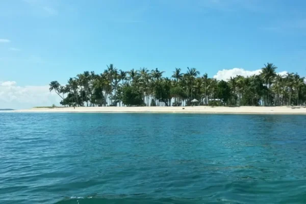 Destinasi Wisata Sorong dengan Pemandangan Luar Biasa Pulau Buaya