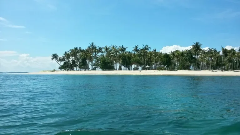 Destinasi Wisata Sorong dengan Pemandangan Luar Biasa Pulau Buaya